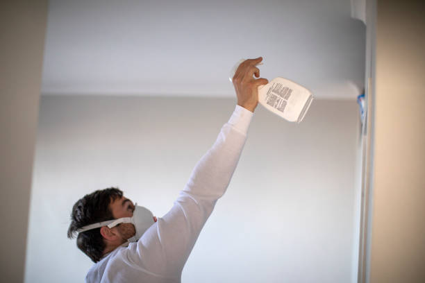 Best Bathroom Mold Remediation in Scandia, MN